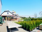 Lokal użytkowy Suwałki, Pułaskiego - 15