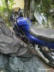 Yamaha Genesis 750 - 2
