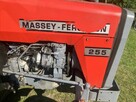 Sprzedam Ciągnik Massey Ferguson MF255 Bezpośrednio od Rolni - 6