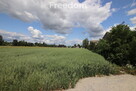 Działka siedliskowa 4177 m² Grzegorzew - 1