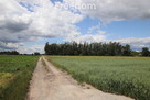 Działka siedliskowa 4177 m² Grzegorzew - 2