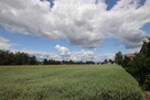 Działka siedliskowa 4177 m² Grzegorzew - 6