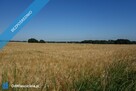 Skoczów Pruchna 1,15ha pod stadnine zabudowe lux lokalizacja - 1