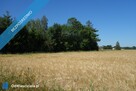 Skoczów Pruchna 1,15ha pod stadnine zabudowe lux lokalizacja - 2