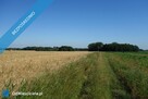 Skoczów Pruchna 1,15ha pod stadnine zabudowe lux lokalizacja - 3