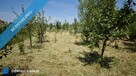 Działka budowlana, uzbrojona 13,79 ara – Domek, media, studnia - 12