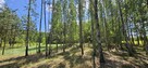 Działka bud.; 2900 M2; Łukawska Wola; WZ; ZADRZEWIONA - 5