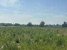 Udział 1/2 w działce inwestycyjnej o pow. 3800m2 MPZP - 2