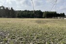 Sprzedam działkę rolno-budowlaną 56 ar - 7