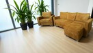 Zestaw mebli Fotel i Narożnik/Sofa rozkładana 2w1 pojemnik - 2