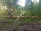 DZIAŁKA Z PLANEM ZAGOSPODAROWANIA - 5