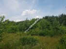 Działka 4000  m²  - usługowo-budowlana MPZP! - 2