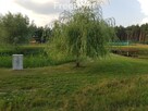 Świetna działka inwestycyjna - 10min do S8 - 11