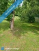 Dom z dużą działką, aż 11791m2, z własnym lasem, tylko 10 minut od Milicza! - 8