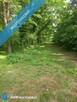 Dom z dużą działką, aż 11791m2, z własnym lasem, tylko 10 minut od Milicza! - 16