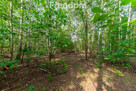 Działki budowlane 2,58 ha Kotorydz - 5