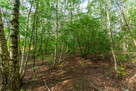 Działki budowlane 2,58 ha Kotorydz - 6