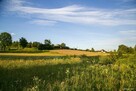 Działka budowlana- Siemiechów- Małopolska - 4