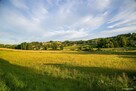 Działka budowlana- Siemiechów- Małopolska - 7