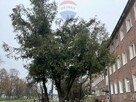 Ładne 2- pokojowe blisko Centrum Gdańska - 7