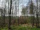 Działka budowlana Jaktorów Budy-Grzybek - 5