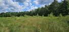Działka budowlana 1000M2; WZ; BRZÓZA - 1