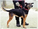 Szener – tak rzadko się uśmiecha - 2