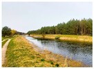 Działka 200m od rzeki Wda- Wdzydzki Park Krajobrazowy - 6