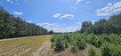 Działka bud. 1090M2; 1341M2; Nowa Wola - 8