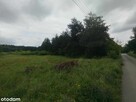 2 DZIAŁKI Z WARUNKAMI ZABUDOWY 2725m2 i 6110m2/ - 6