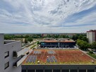 Pet Friendly - mieszkanie do wynajęcia na Czyżynach 30m² od - 9
