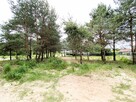 *JUROWCE * 924m2 * działka budowlana * BEZPOŚREDNIO - 12