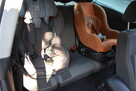 POLO GTI UNITED LPG garażowany serwisowany limitowana wersja - 6