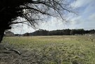 Sprzedam działkę rolno-budowlaną 56 ar - 5