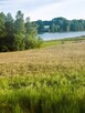 DOMEK NA KASZUBACH - 11