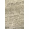 Płytki Marmurowe Atlantic Grey polerowane 40,6x61x1,2 cm - 5