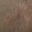 Fornir kamienny Copper 2MM tapeta 122x61x0,2 cm - 9
