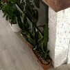 Panel ścienny Marmur White Stackstone 10x36x0,8-1,3 cm - 2