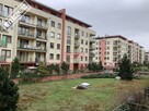 3 pokojowe  z balkonem, standard deweloperski - 9