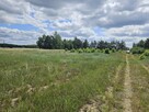 Działka budowlana Stare Wrońska gm. Załuski, - 14