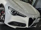Alfa Romeo Stelvio Ledy / Panorama / Kamera / Harman Kardon / ASO / Gwarancja / FV 23%! - 8