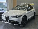 Alfa Romeo Stelvio Ledy / Panorama / Kamera / Harman Kardon / ASO / Gwarancja / FV 23%! - 11