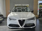 Alfa Romeo Stelvio Ledy / Panorama / Kamera / Harman Kardon / ASO / Gwarancja / FV 23%! - 14