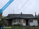 SPRZEDAM SIEDLISKO W LESIE - 1