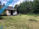 SPRZEDAM SIEDLISKO W LESIE - 2