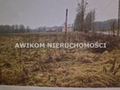 Działka Białowieża Zastawa Krzyże - 1