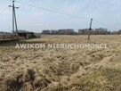 Działka Białowieża Zastawa Krzyże - 4
