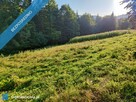 43 ary, budowlana, na krańcu świata, pod domek/domki letniskowe, las, potok, góry - 10