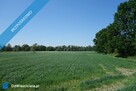 Skoczów Ochaby 62 ar pod lasem nadaje sie pod altanke domek - 2