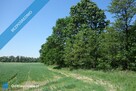 Skoczów Ochaby 62 ar pod lasem nadaje sie pod altanke domek - 8
